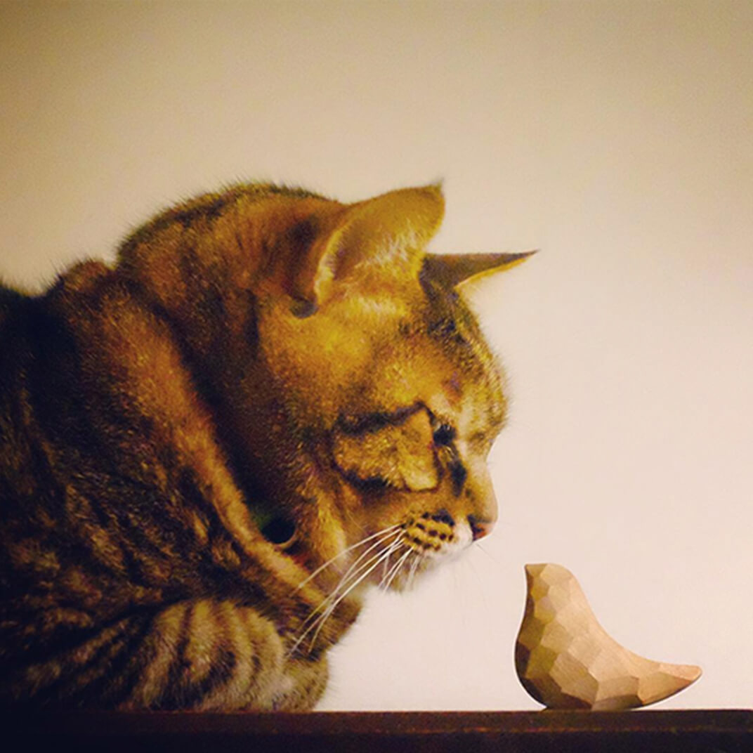 木彫りの鳥を見つめる保護猫の写真